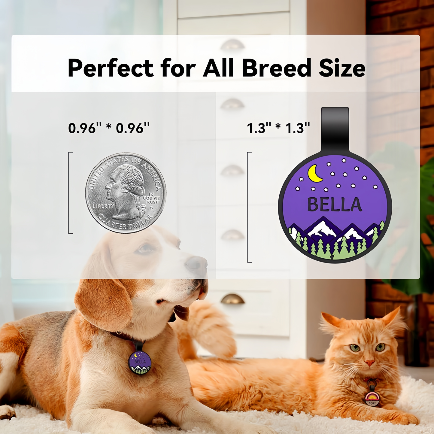 Personalized Engraved Silicone Dog and Cat Name ID Tag