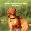 Personalized Engraved Silicone Dog and Cat Name ID Tag
