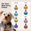 Personalized Engraved Silicone Dog and Cat Name ID Tag
