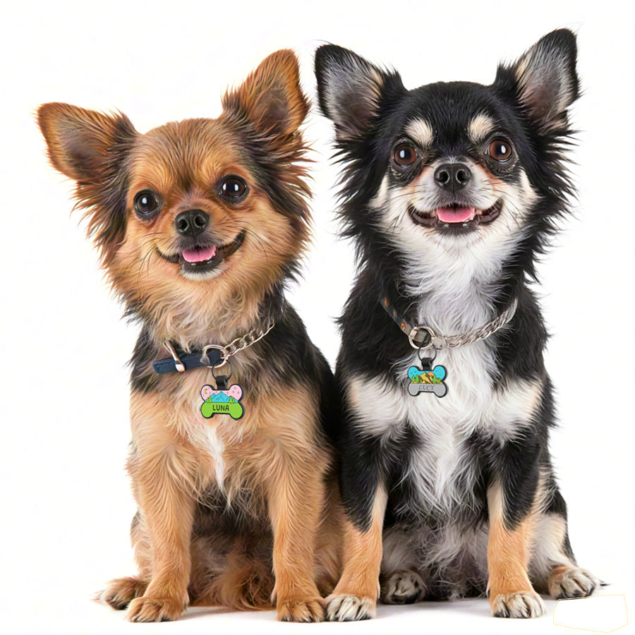 Personalized Silicone Dog and Cat Name ID Tag