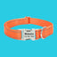 Reflective Dog Collar, Nylon Personalized Dog Collar, Custom Dog ID Collar, Durable Puppy Collar, Gift for Dog