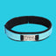 Reflective Engraved Nylon Dog Collar Personalized with Slide on ID Tag, Dog Gift, Dog ID Collar, Pet Name Collar