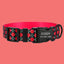 Flower Print Personalized Dog Collar with Leash, Custom Puppy ID Collars, Cute Personalized Dog Gift, Pet ID Collar with Name