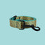 a yellow and green dog collar with a black buckle