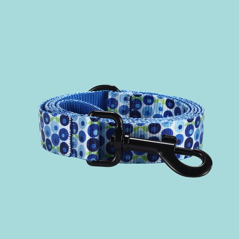 a dog leash with a black hook on a white background
