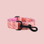 a dog collar with a hook on it